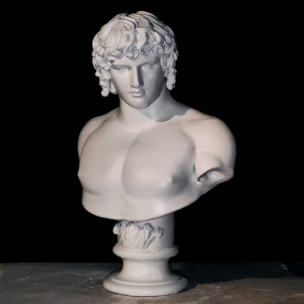 Portrait of Antinous - Imagen 2