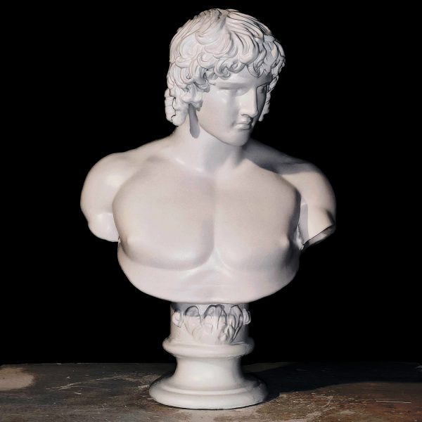 Portrait of Antinous - Imagen 3