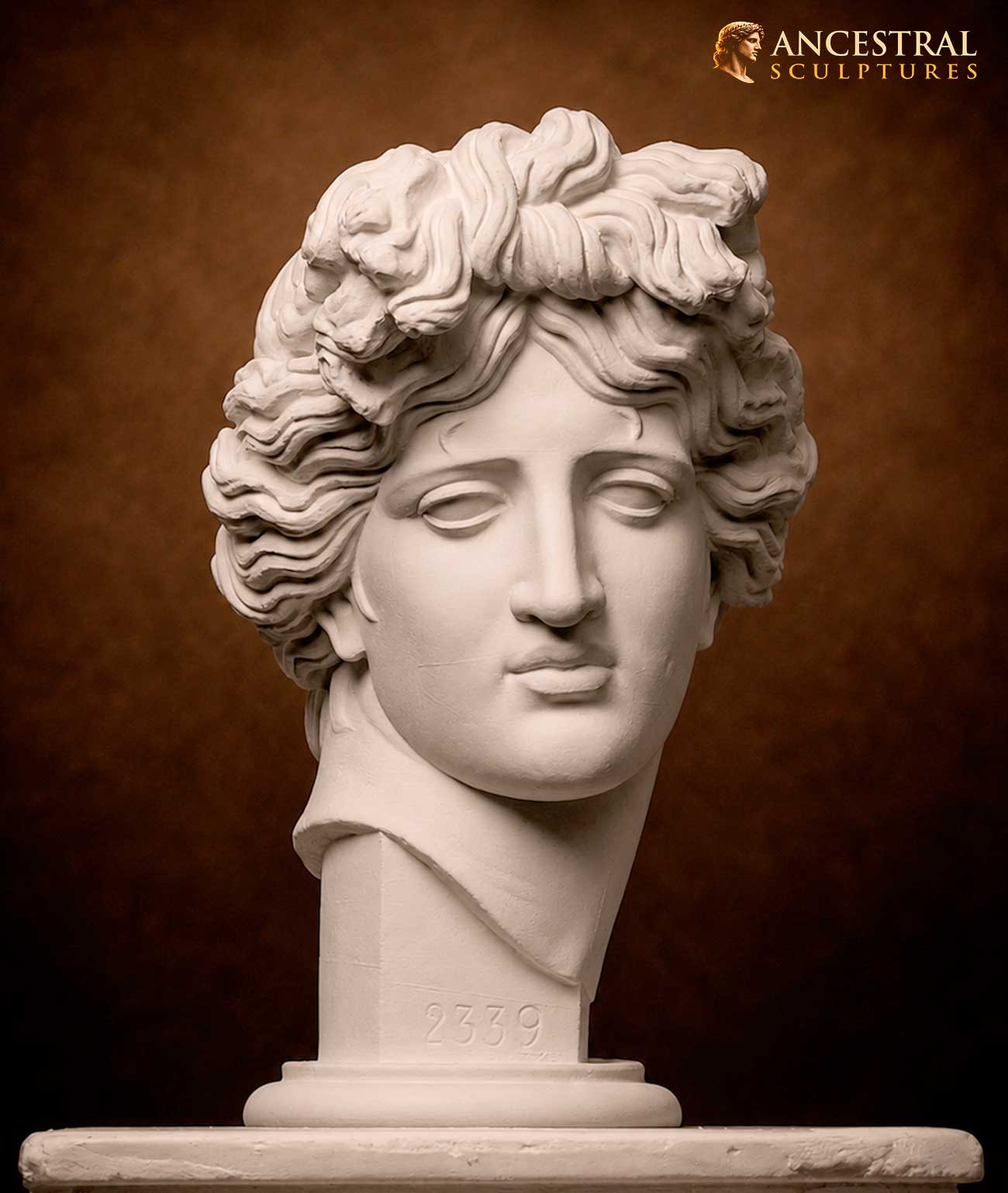 Apollo Giustiniani Bust – Historical Reconstruction of the Classical God Apollo | Hand-Finished Museum Artwork