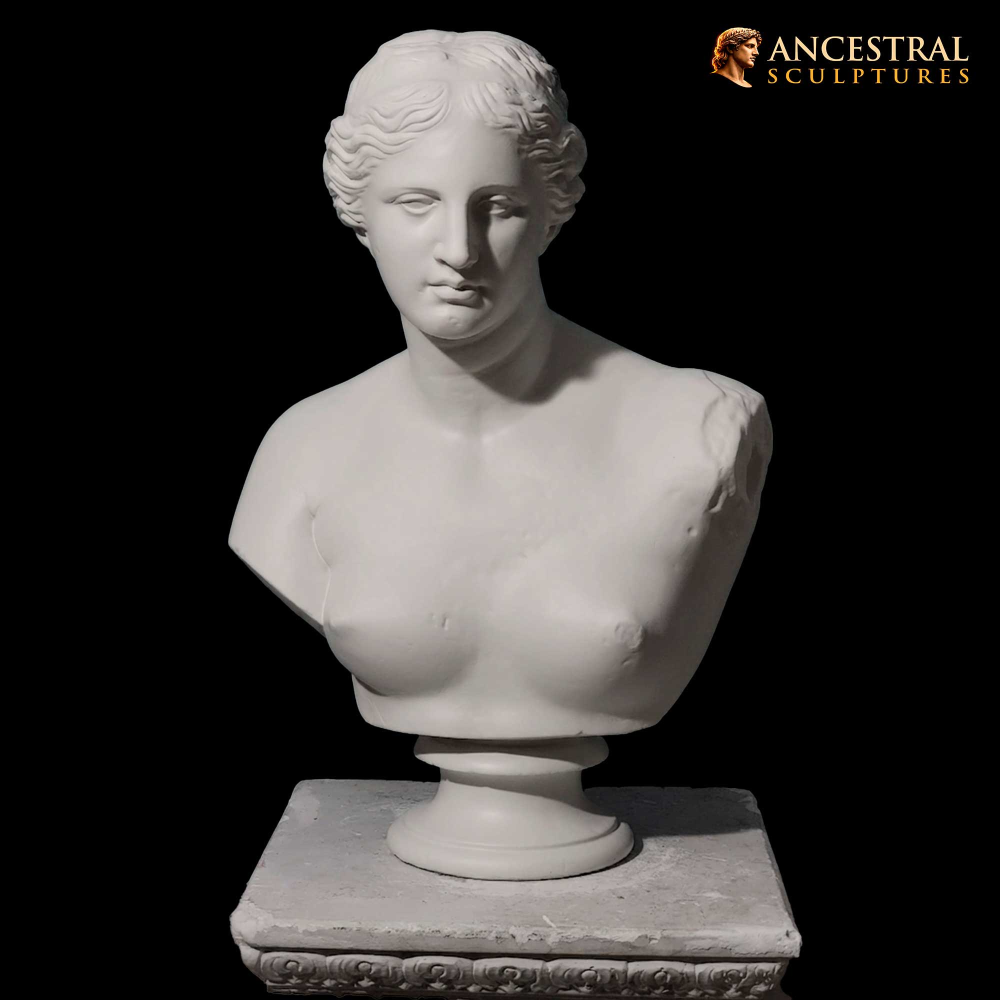 Bust of Venus de Milo Sculpture – Greek Goddess Aphrodite Bust – Classical Museum Statue Décor - Image 3