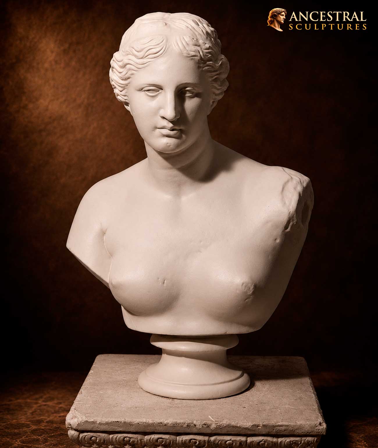 Bust of Venus de Milo Sculpture – Greek Goddess Aphrodite Bust – Classical Museum Statue Décor