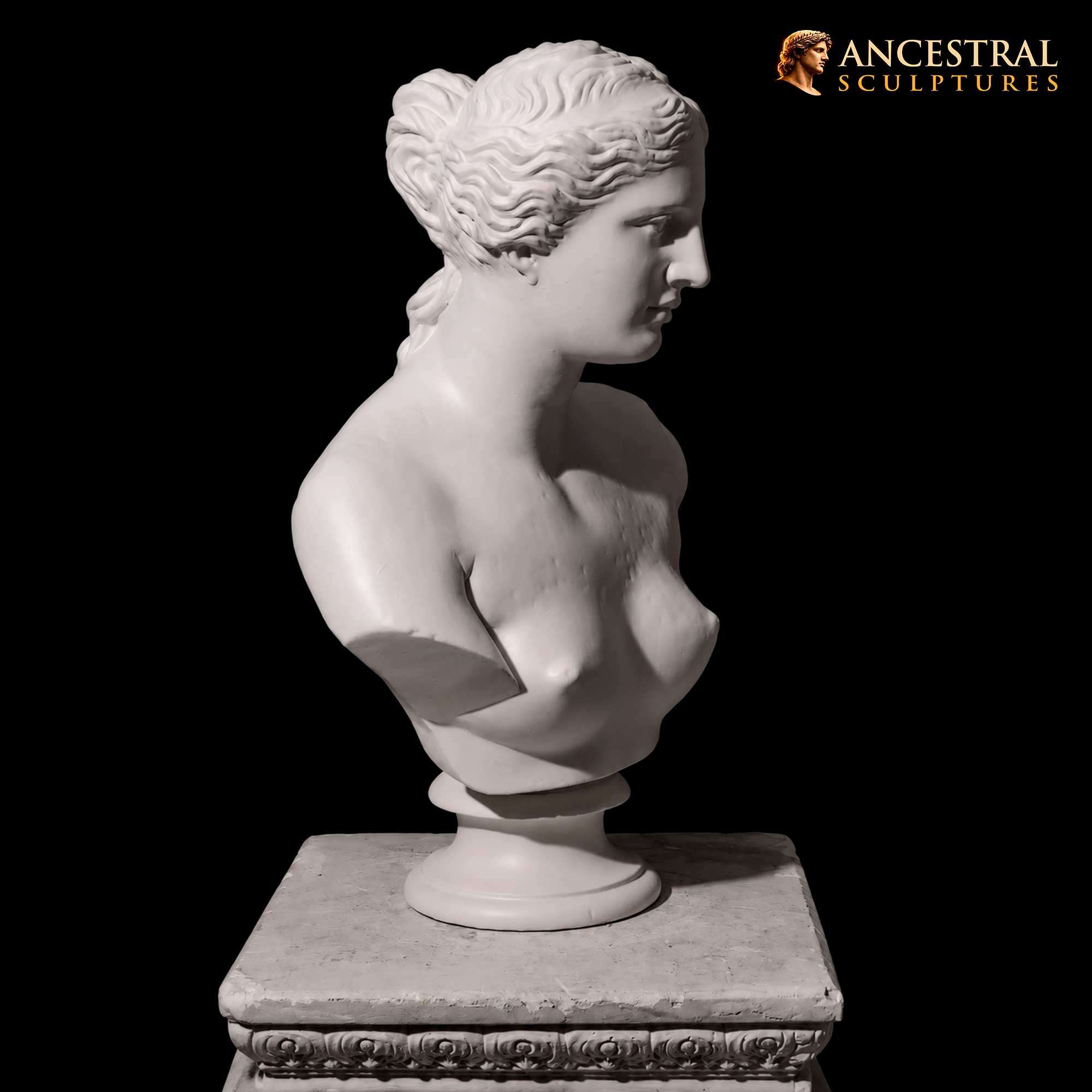 Bust of Venus de Milo Sculpture – Greek Goddess Aphrodite Bust – Classical Museum Statue Décor - Image 2