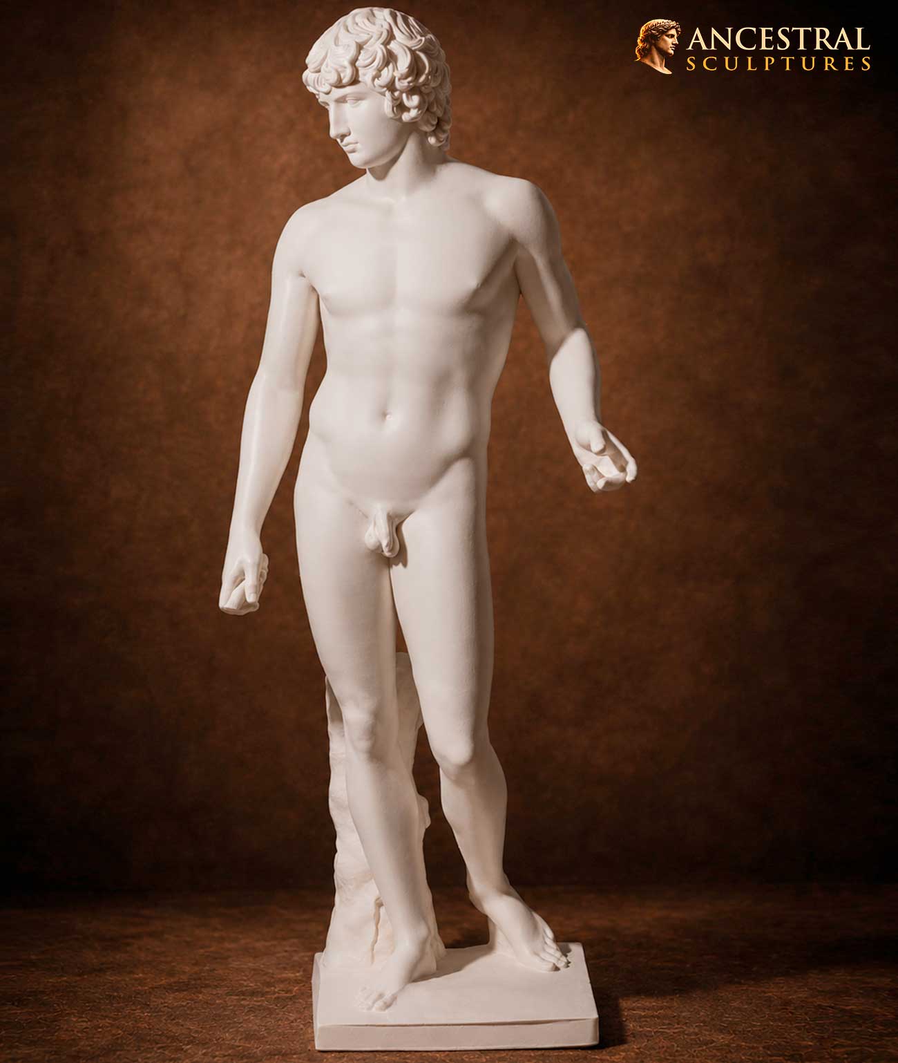 Antinous Farnese Sculpture – Historical Representation of Hadrian’s Beloved | Classical Roman Statue