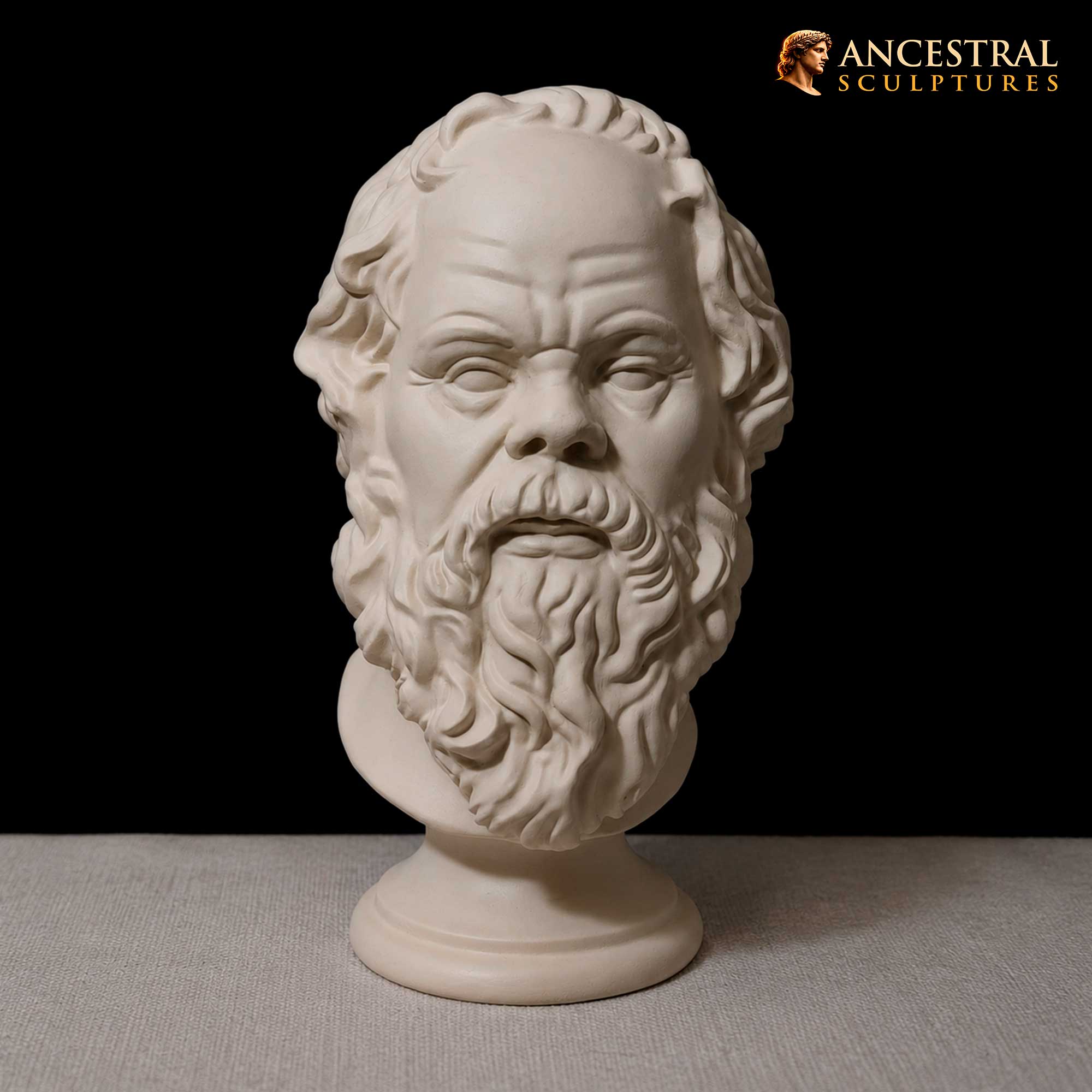 Socrates Bust from the Louvre Museum | Ancient Greek Philosopher Sculpture after Lysippos | Classical Hellenic Artwork - Image 4